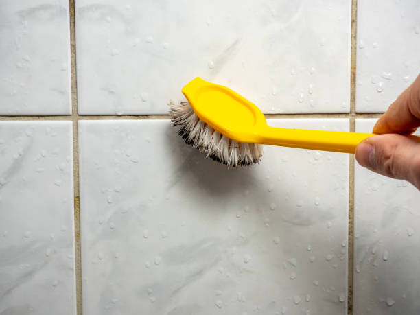 Best Black Mold Remediation in Cvallis, OR